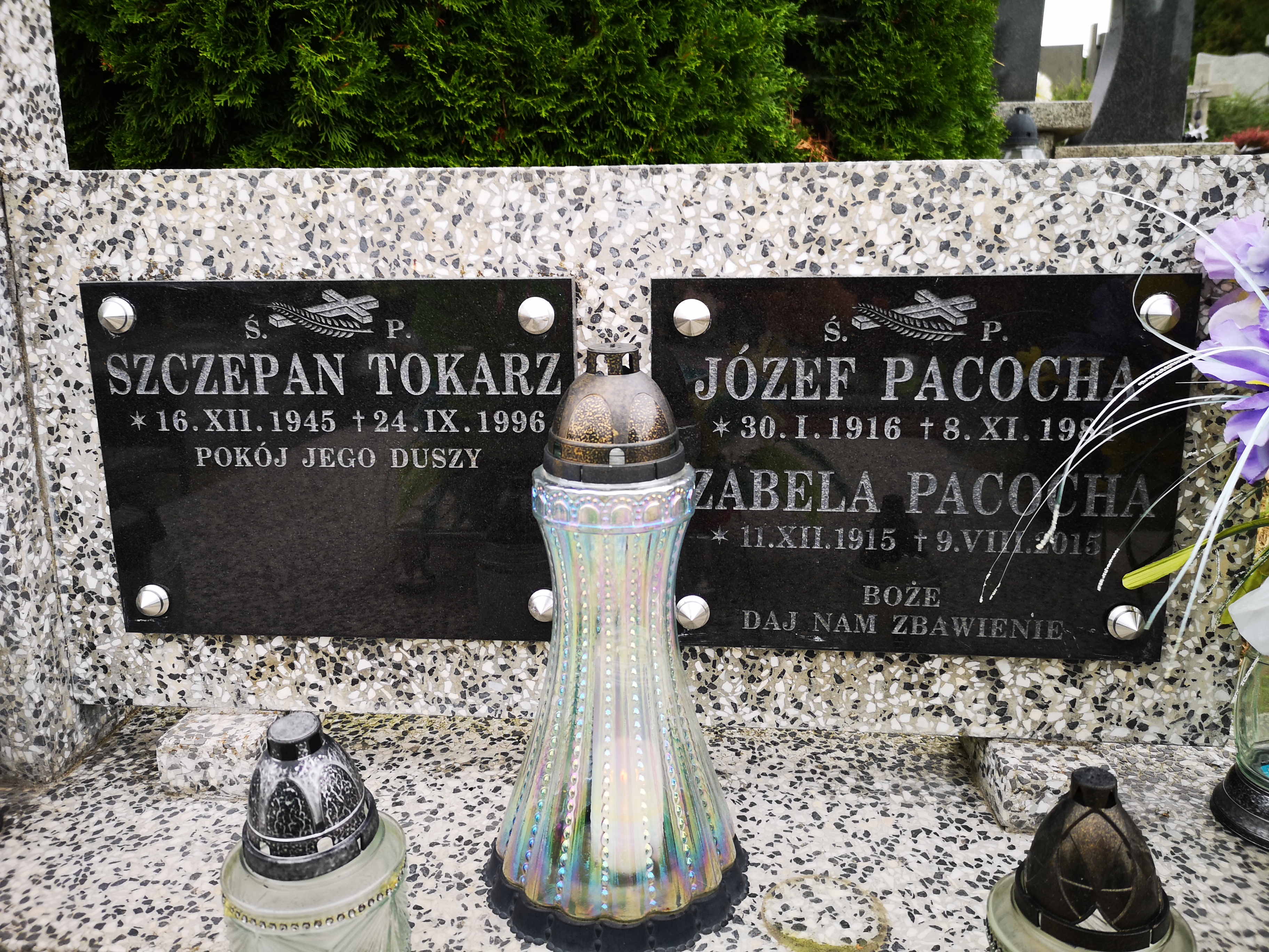 Maria TOKARZ 1954 Jasło - Grobonet - Wyszukiwarka osób pochowanych