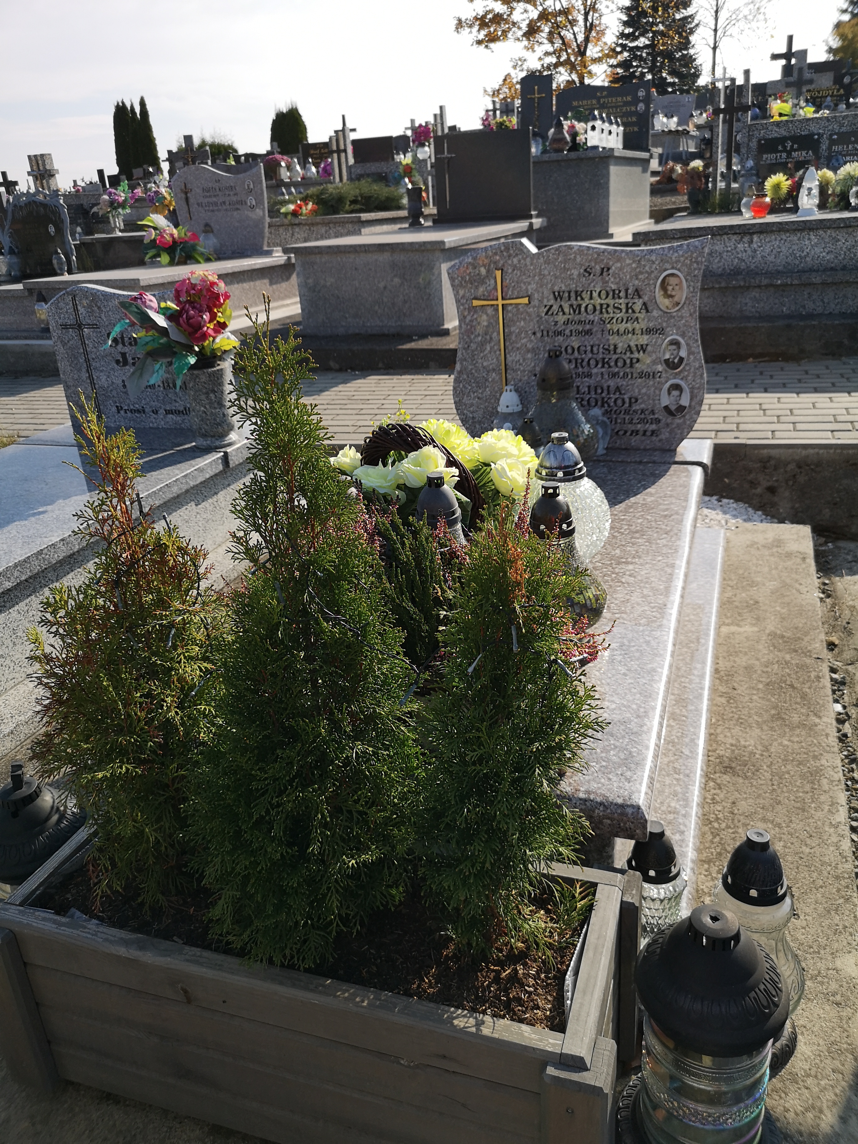 Wiktoria ZAMORSKA 1906 Jasło - Grobonet - Wyszukiwarka osób pochowanych